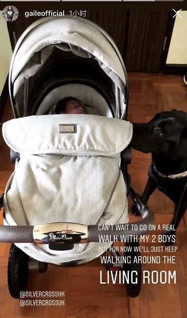 �ֻ��������ӽ���ͳһ���²�ϴͷ��������������������