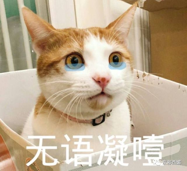 19岁的王源并不天真,天真的是相信艺人人设=艺人本人