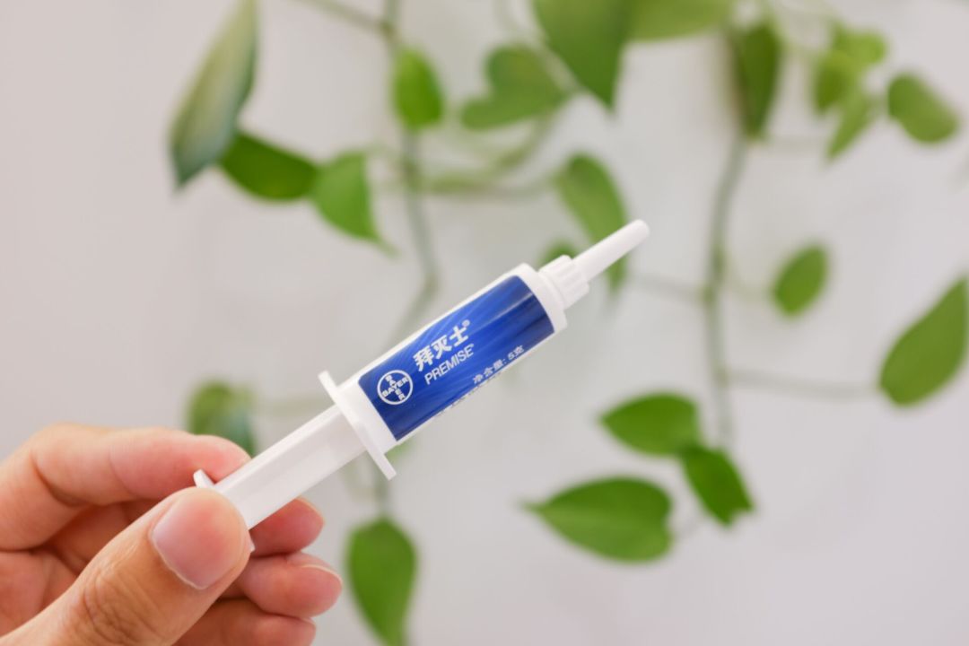 �����Ƭ��¶�������ࣺ���������Ҫ�İ�ȫ�С�