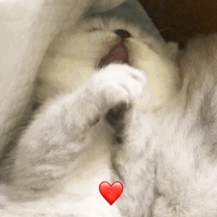 ��ƶ��13��Ⱦ�Ϸ��ģ��㻹û������5��������أ�