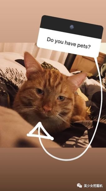 ������쾱���ȵľ�ͷ�����˰������ޣ�һҹ����ȴ������������