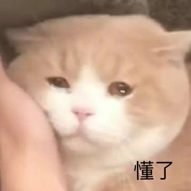 76ľ溵tֱ۴ֵ110ͱۡˮױ̫ˣ