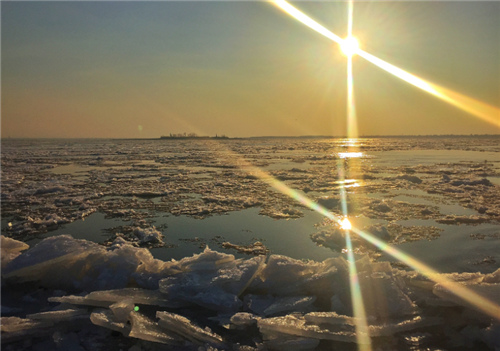 QQ��ͼ20190613155146