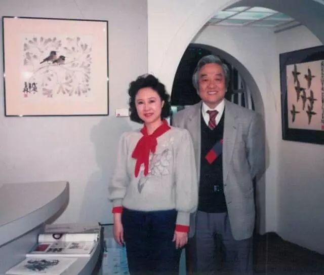 81���������ټ�������