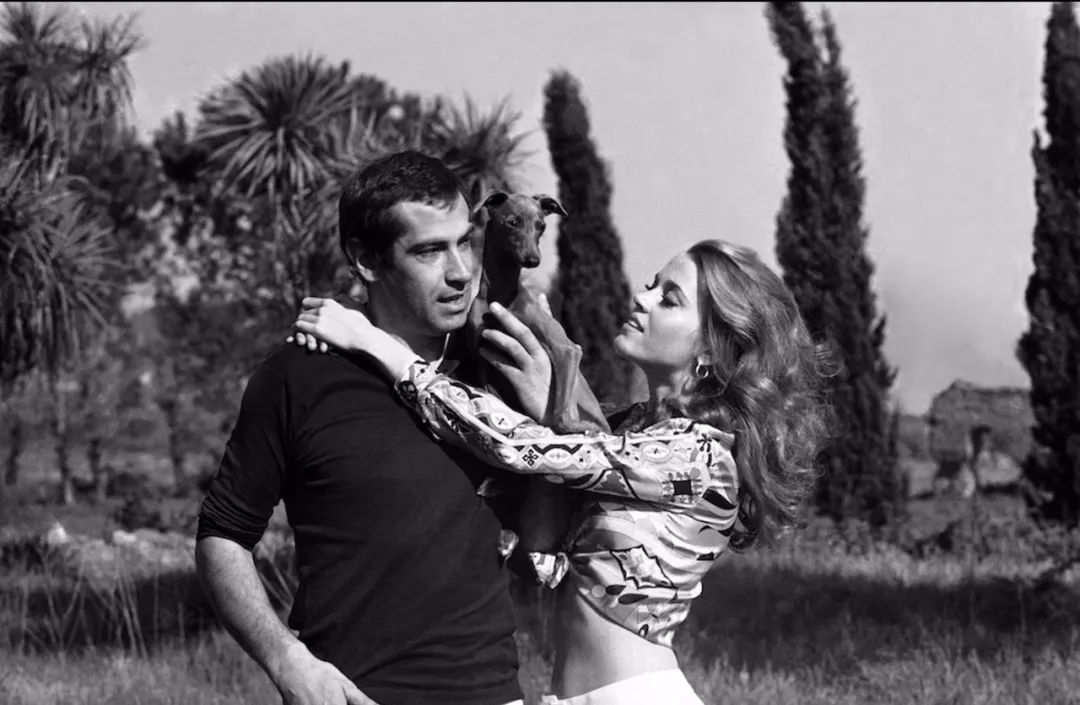 С��||��Щ���������ǵĺ��������ô��