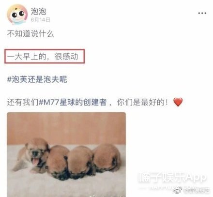 可别天天冒充别人的粉丝脱粉了...