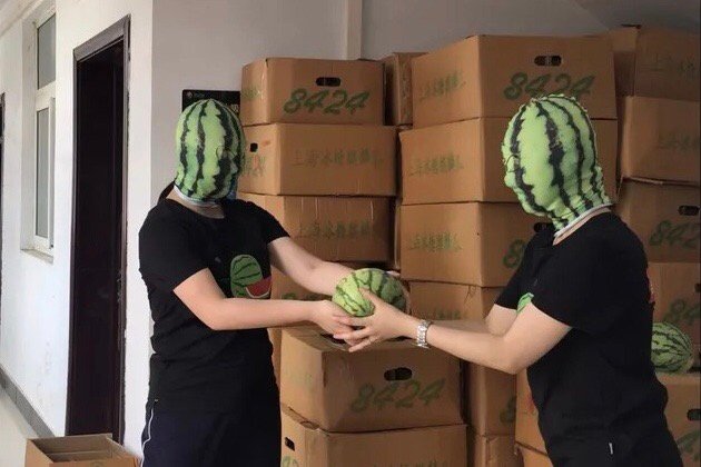 007xShmyly1g42ws3hx3nj30hi0bognd