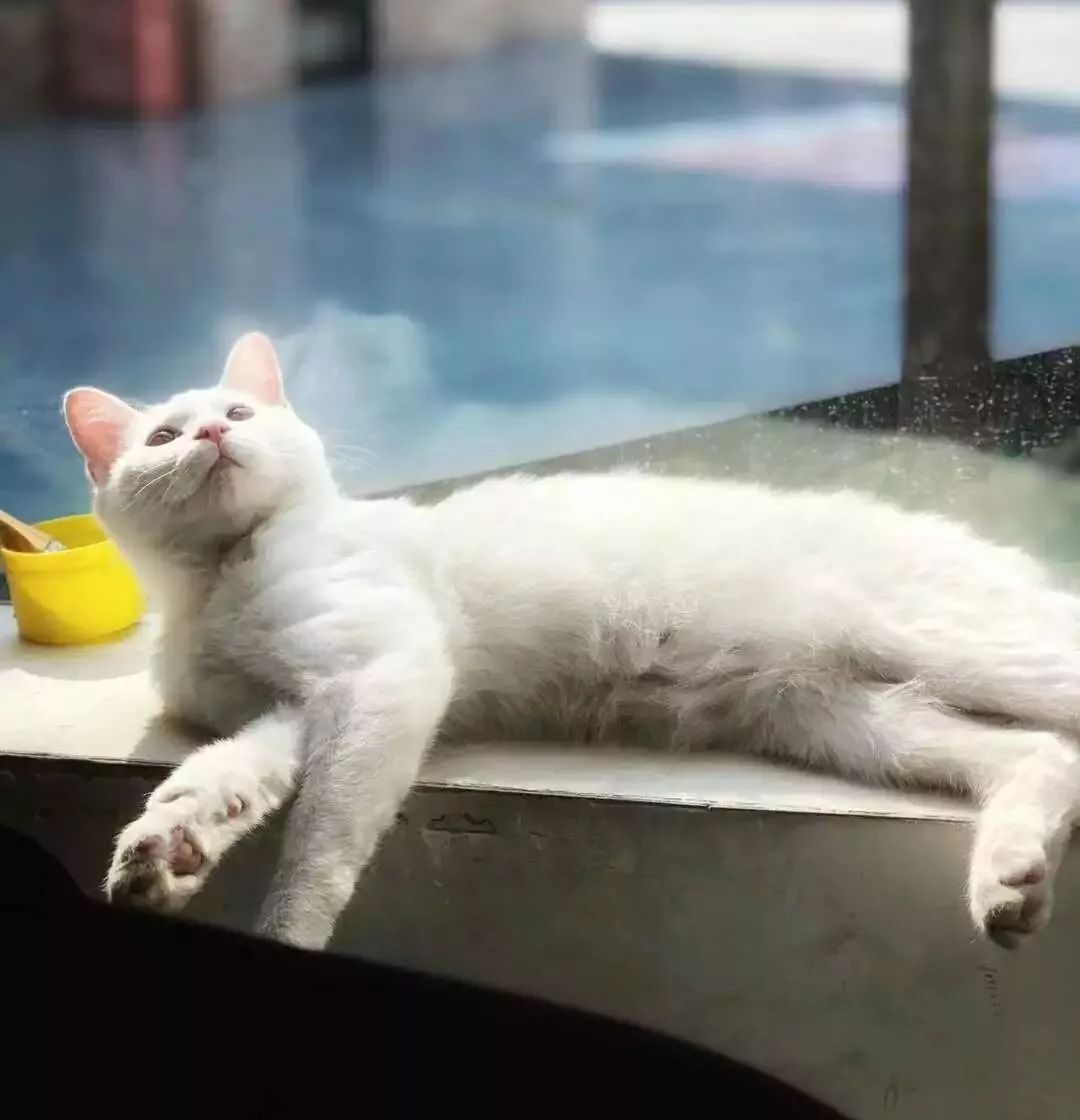 Ѱ�����£�����