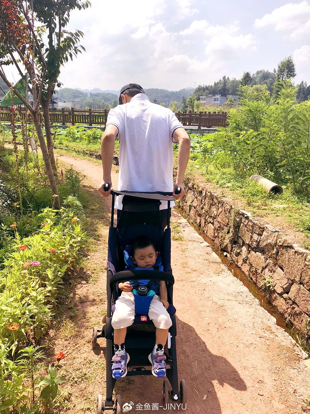 �ɷ��뿪�ĵ�105�죬��д�����ӵ��ſ��������ˣ�����һ����������֪�����ƺ���