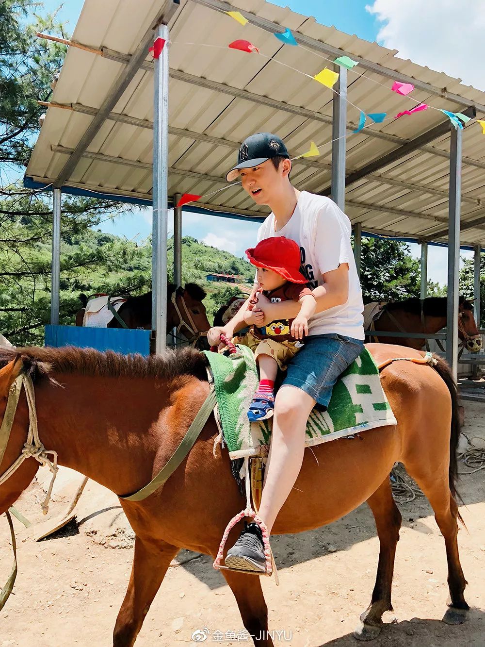 �ɷ��뿪�ĵ�105�죬��д�����ӵ��ſ��������ˣ�����һ����������֪�����ƺ���