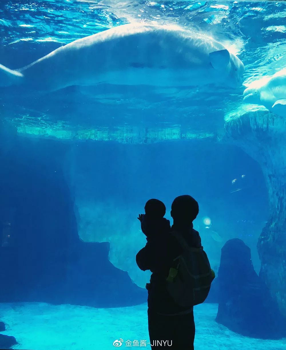 �ɷ��뿪�ĵ�105�죬��д�����ӵ��ſ��������ˣ�����һ����������֪�����ƺ���