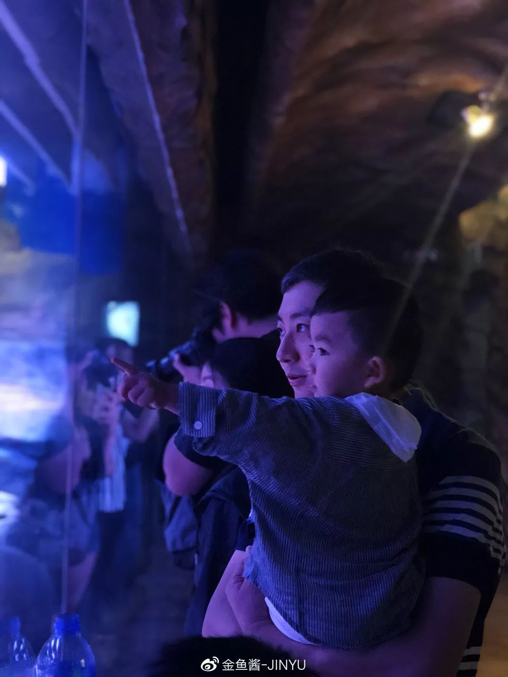 �ɷ��뿪�ĵ�105�죬��д�����ӵ��ſ��������ˣ�����һ����������֪�����ƺ���