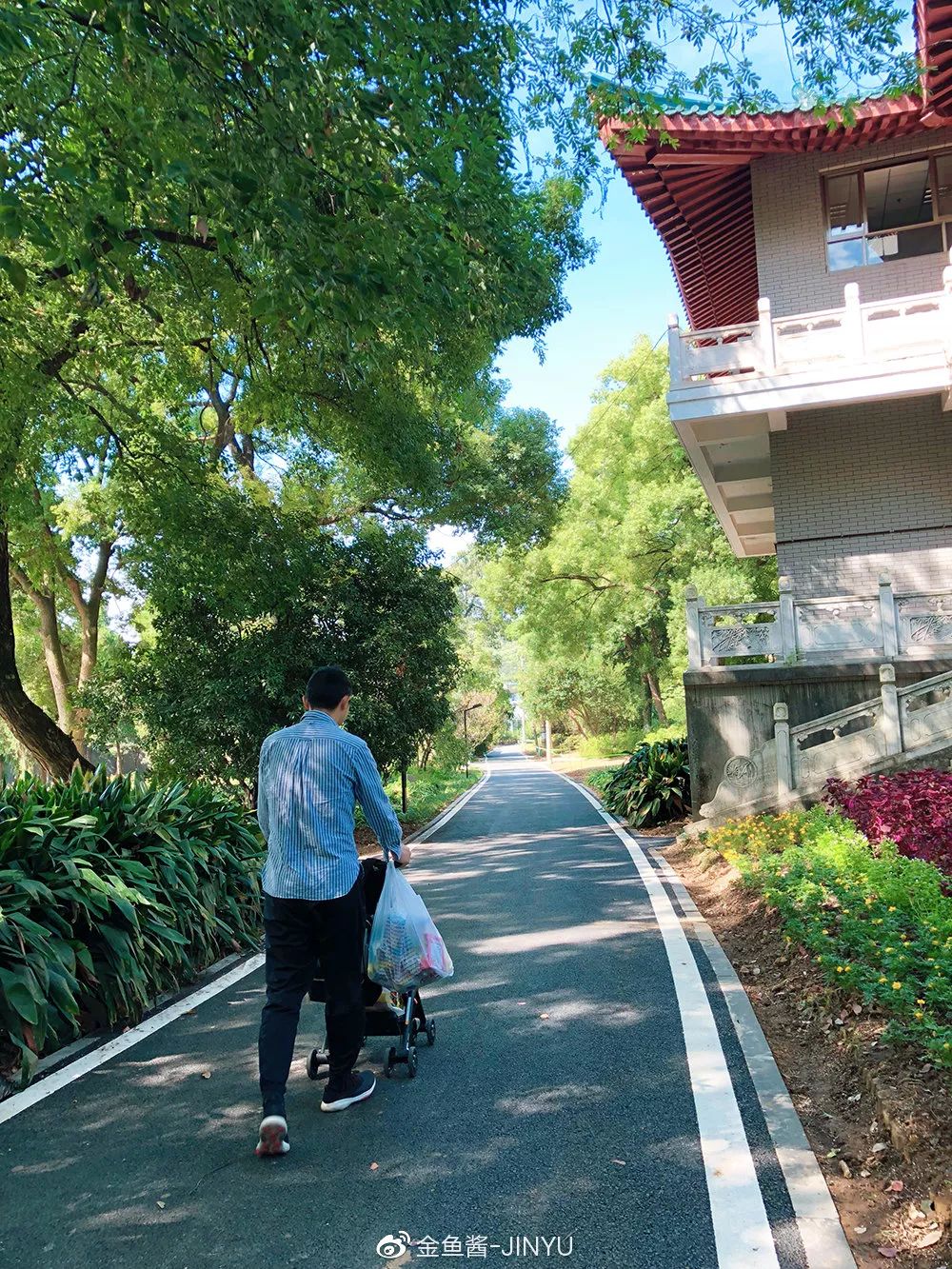 �ɷ��뿪�ĵ�105�죬��д�����ӵ��ſ��������ˣ�����һ����������֪�����ƺ���