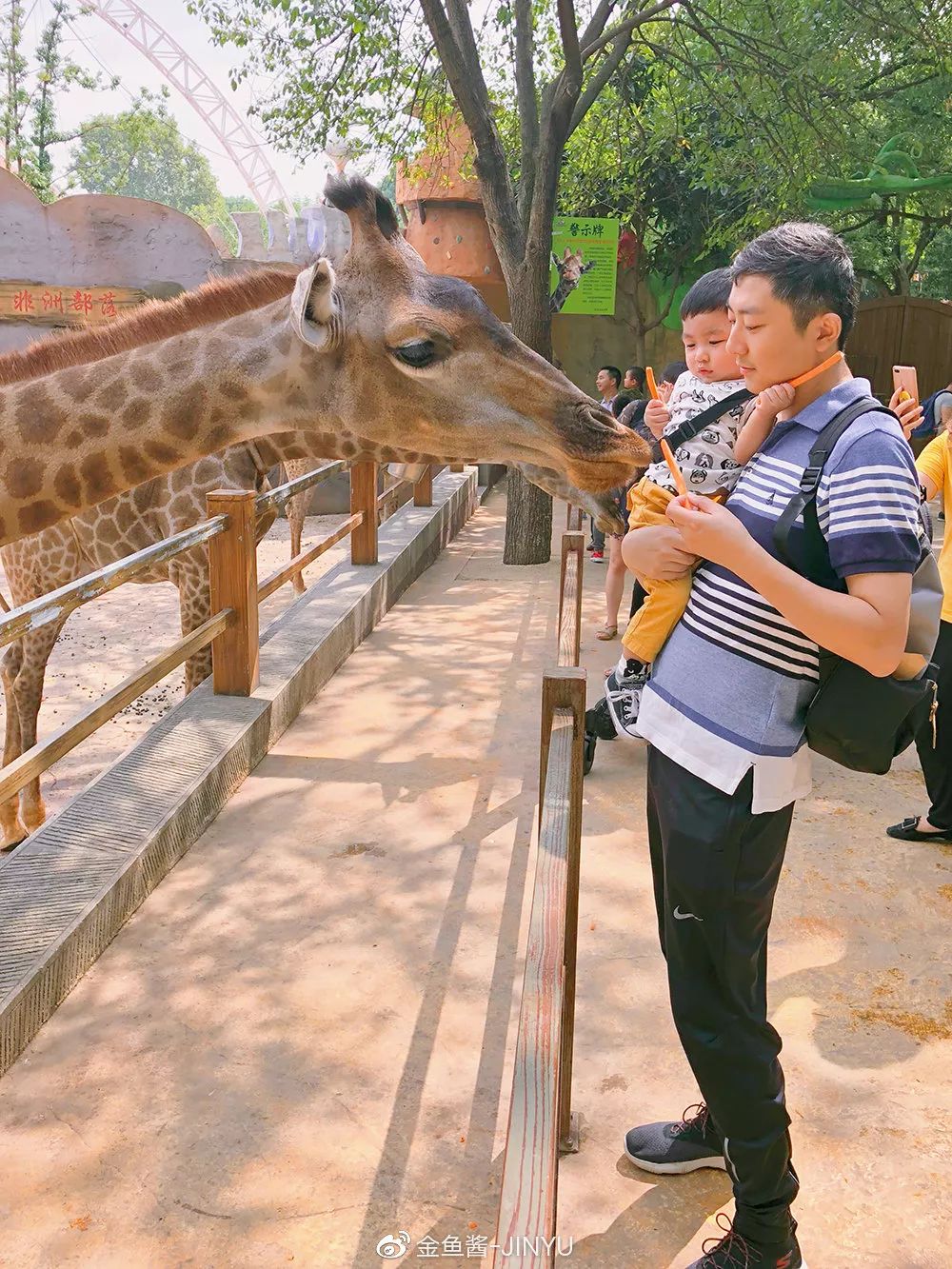 �ɷ��뿪�ĵ�105�죬��д�����ӵ��ſ��������ˣ�����һ����������֪�����ƺ���