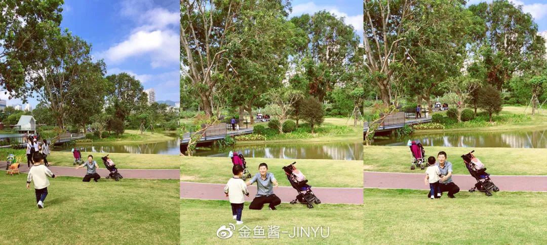 �ɷ��뿪�ĵ�105�죬��д�����ӵ��ſ��������ˣ�����һ����������֪�����ƺ���