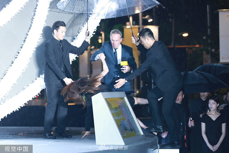 4520-hyrtarv9390251_����