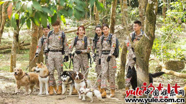 9、《神犬小七3》剧照 《神犬小七3》定档6月27日 姜潮宋妍霏与萌宠上演暖心救援