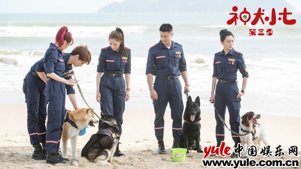 10、《神犬小七3》剧照 《神犬小七3》定档6月27日 姜潮宋妍霏与萌宠上演暖心救援