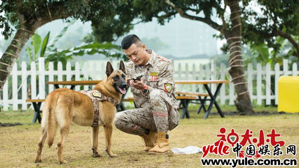 7、王煜饰敖力 《神犬小七3》定档6月27日 姜潮宋妍霏与萌宠上演暖心救援
