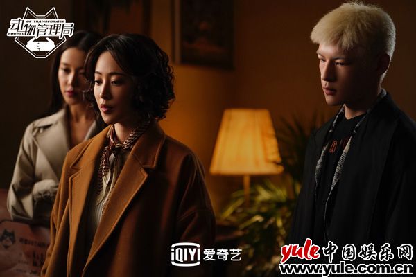 孔宋今《动物管理局》 孔宋今《动物管理局》成陈赫神助攻 全新尝试获好评