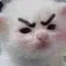 ױPɿͨƣĿΪþ