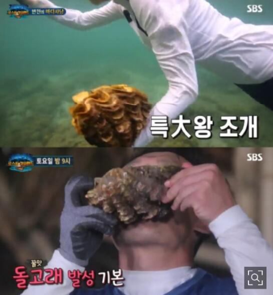 韩综泰国捕食濒危蛤蜊引争议,系强制拍摄未获许可