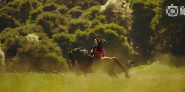 �����ƾ����ľ����Ԥ��Ƭ�������ѣ����ľ����ױ����Ĳ۵�������