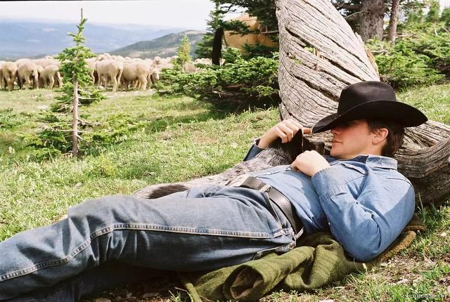 ��˹�������ݼ�ȴֻ��ΪС�������䣬������Ȼ����