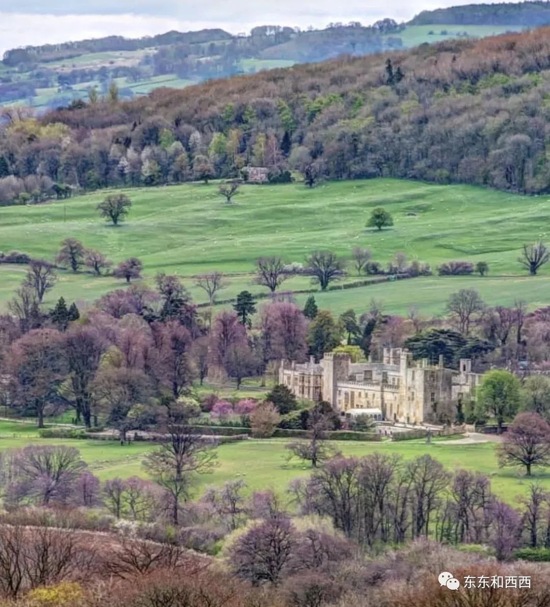 ������ֶŮ��Ʊ����ɩ���Ҵ����棬54�곤�����������Ϊ����Ϊ�ˡ�