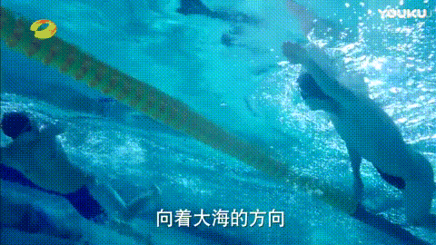 �����硸ûͷ�ԡ��������ԡ������ˡ�