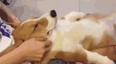 ʵ���ˣ��������򺽰����Ȩ������Ȧ��������������ǣ��ħ�ô��