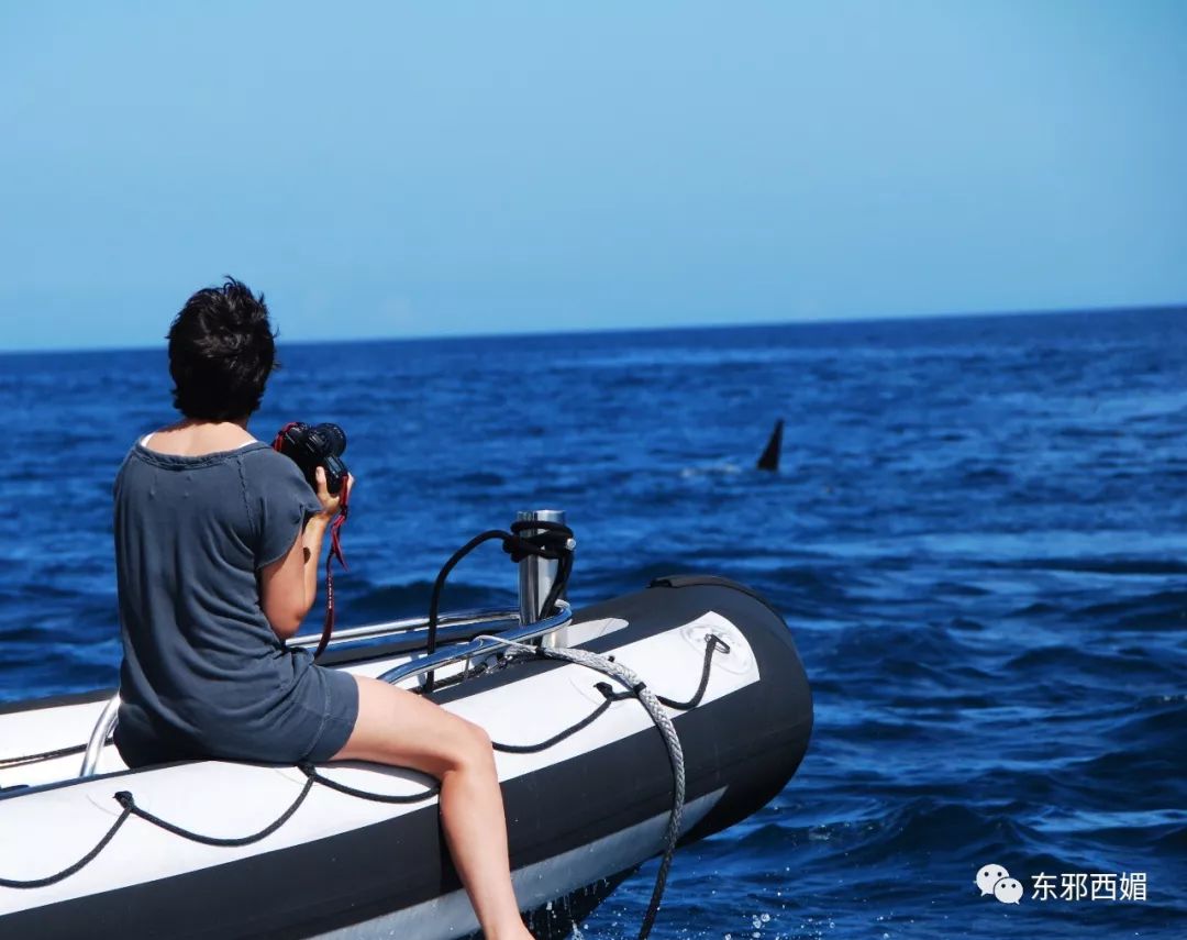 ʵ���ˣ��������򺽰����Ȩ������Ȧ��������������ǣ��ħ�ô��