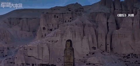 ���ֲ���֯�߶����͵��й����ޣ��ڹ���������ж�Ұ��