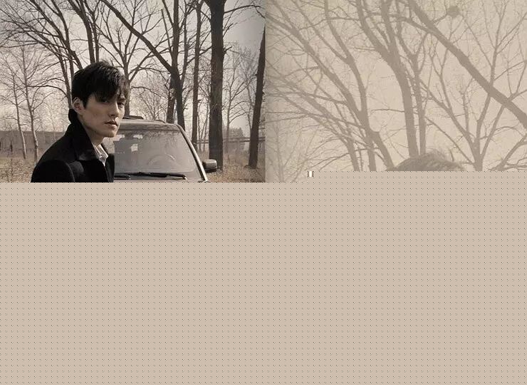 �Ͽ��������