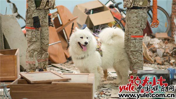 4.小雪 《神犬小七3》小七小雪齐上阵 助力姜潮宋妍霏感情升温