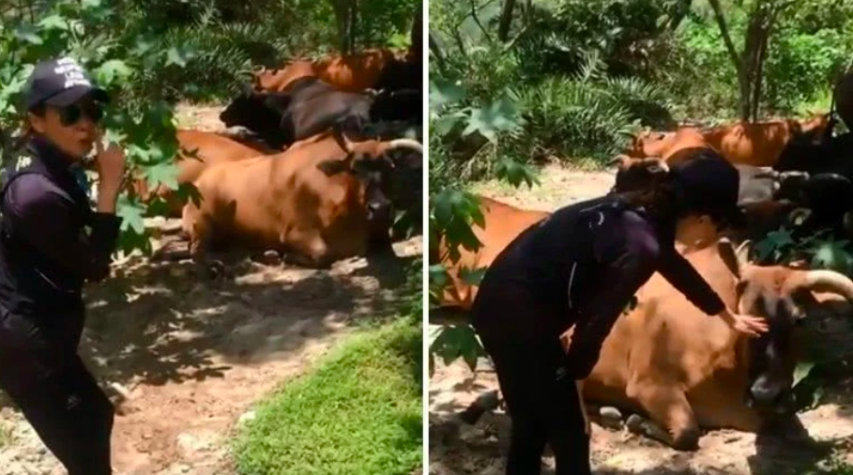 屏幕快照 2019-07-27 下午13.21.44.png