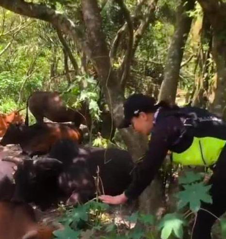 屏幕快照 2019-07-27 下午13.28.03.png